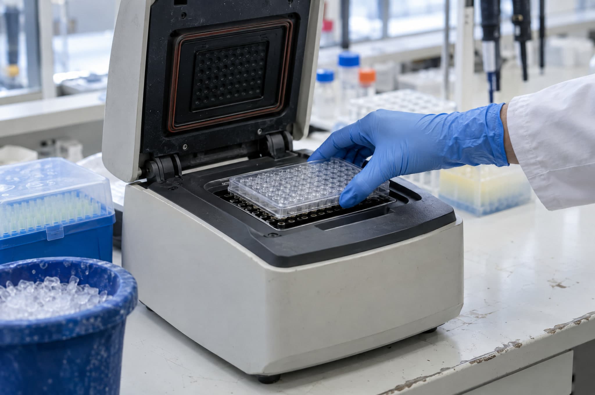 A gloved hand placing a sealed clear plate of tiny wells into an open benchtop instrument on a laboratory bench, a tip box and an ice bucket beside it.
