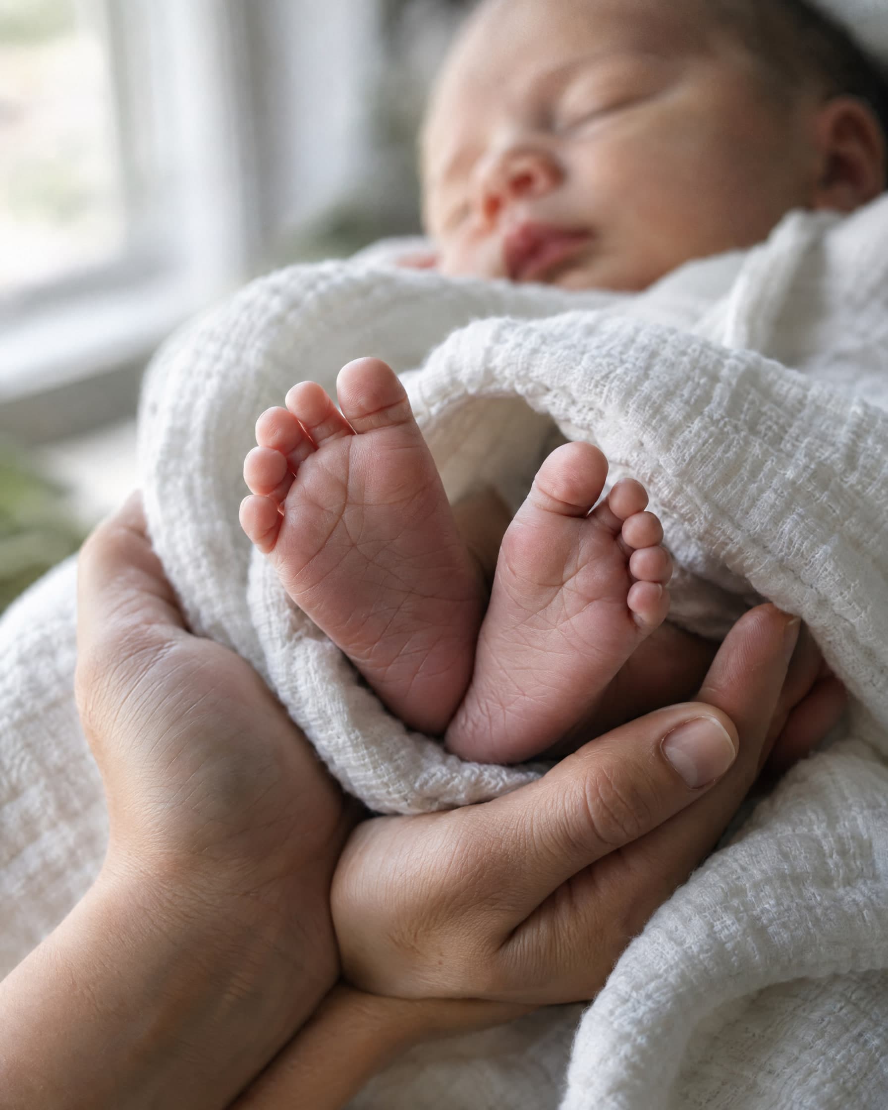 A close view of a newborn's feet cradled in an adult's hands, wrapped in white muslin.